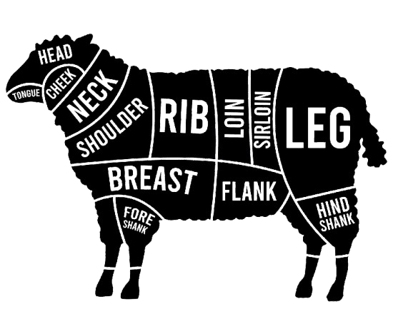 lamb